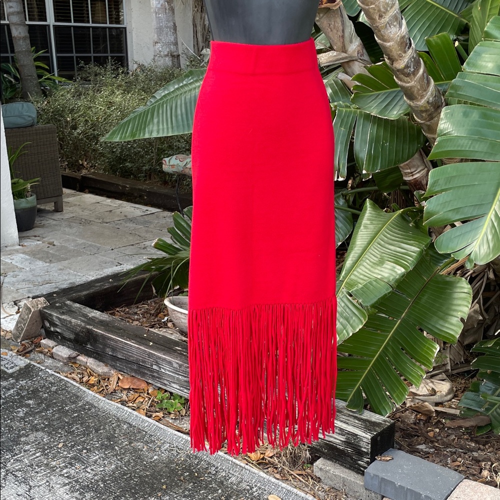 And Taylor fringe knit skirt